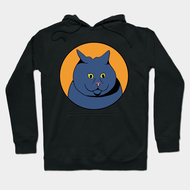 Funny Animal Graphic Design - Scared Cat Hoodie by Animals in Design